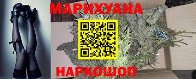 крисы Гатчина
