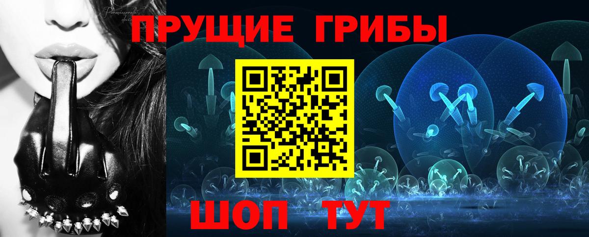 Псилоцибиновые грибы MAGIC MUSHROOMS  Вход с VPN  Нефтекамск 